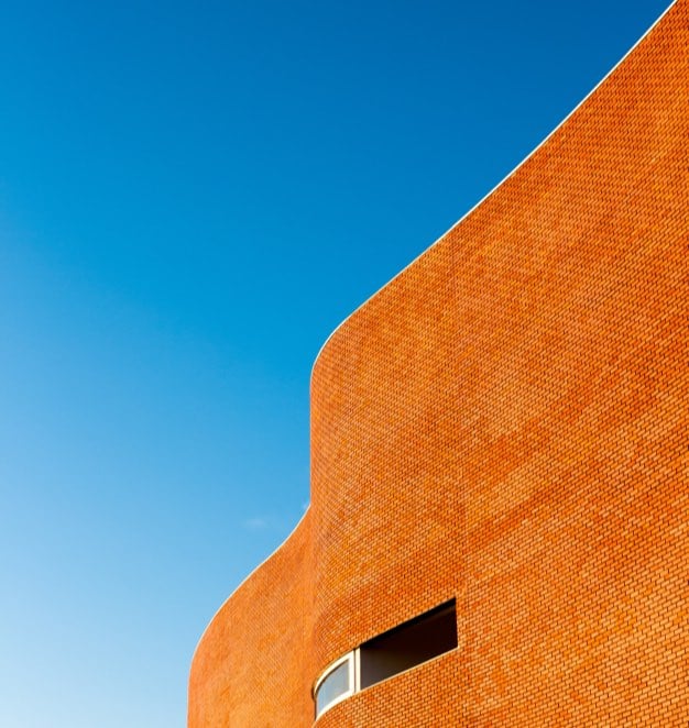 pexels joão jesus 921318